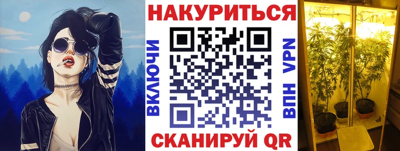 Канабис ГИДРОПОН  Купить  Тында 